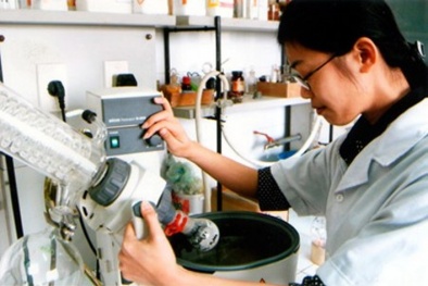 Việt Nam đứng ở đâu trên 'bản đồ' trí tuệ thế giới?